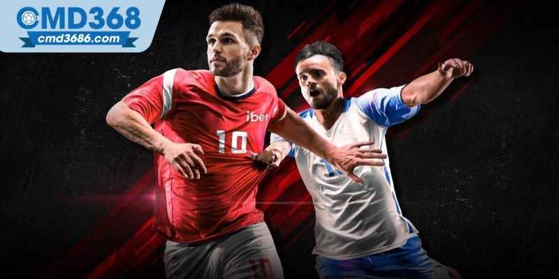 Biện pháp khắc phục lỗi và cách giải quyết khi đăng nhập CMD368