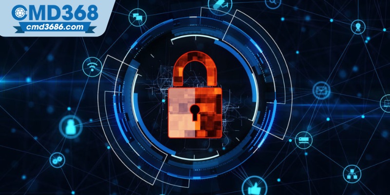 Các quy định cần biết về chính sách bảo mật