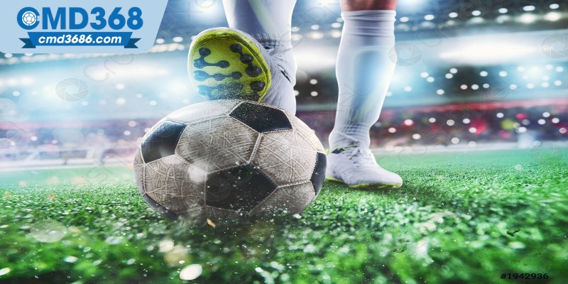 Các ưu điểm nổi bật của thể thao CMD368