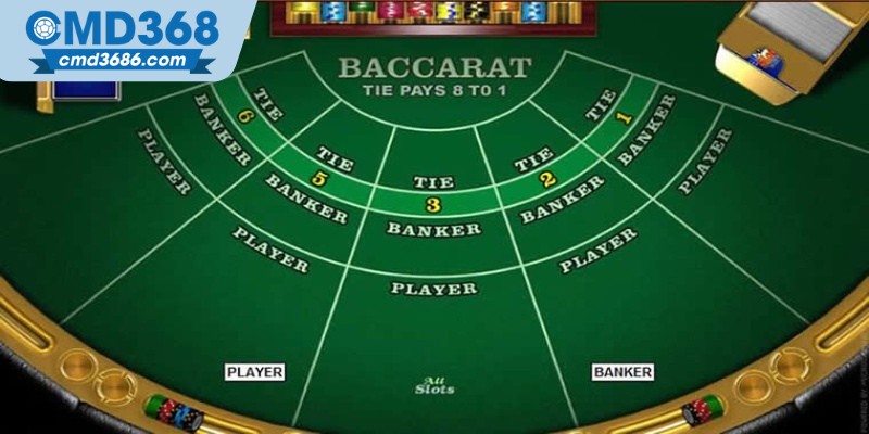 Chiến lược nói không với cửa Tie