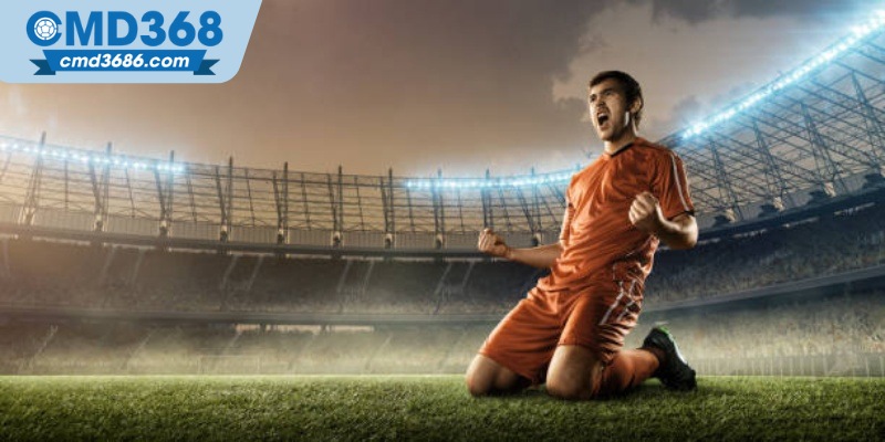 Chiến thuật chơi cá độ bóng đá tài xỉu thắng lớn