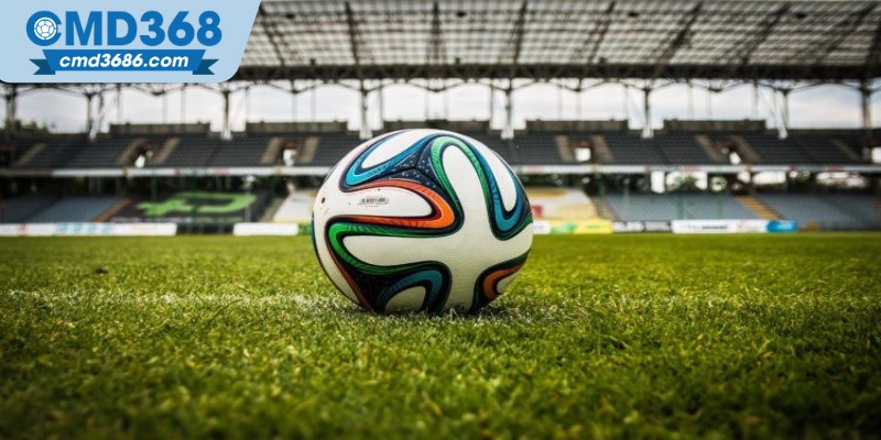 Chiến thuật soi kèo bóng đá Việt Nam chuẩn xác