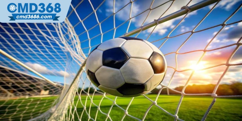 Kinh nghiệm chơi kèo rung