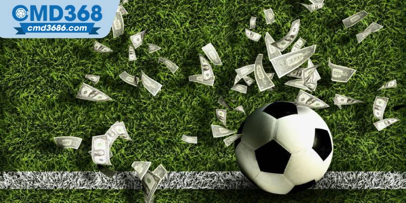 Một số câu hỏi về đăng ký CMD368