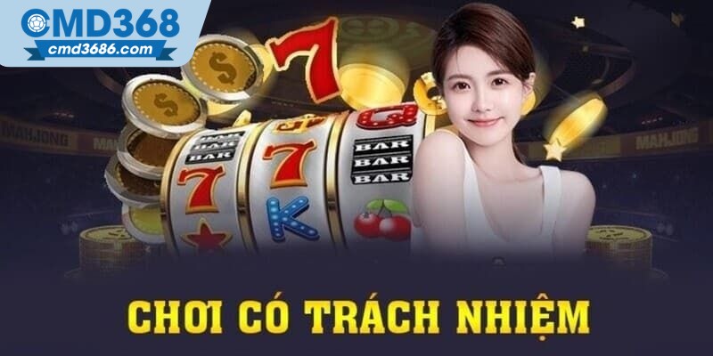 Tóm tắt sơ lược về chơi có trách nhiệm